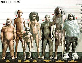 http://www.hominides.com/data/images/illus/evolution/meet-the-folk-evolution.jpg