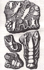 Icnolithes de W&uuml;tzburg