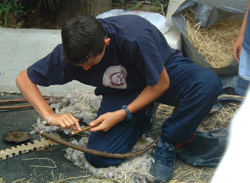 Atelier fabrique du feu