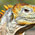 Reptiles, mammif&egrave;res, insectes Galapagos