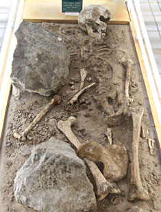 Cro-Magnon