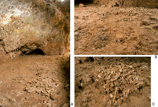 Unité archéostratigraphique UA25; 25ème niveau d'occupation humaine à la grotte du Lazaret