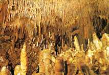 Salle des Cierges