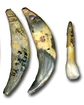 chatelperronien-neandertal-arcy