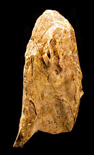 Outil en os faconné par Néandertal il y a 55 000 ans à la grotte du Bison