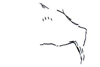 Bison arri&egrave;re-train