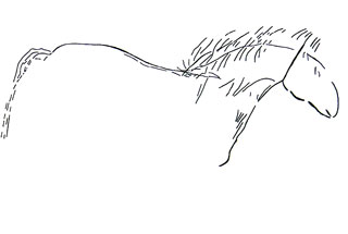 relev&eacute; du Grand Cheval de Bara-Bahau