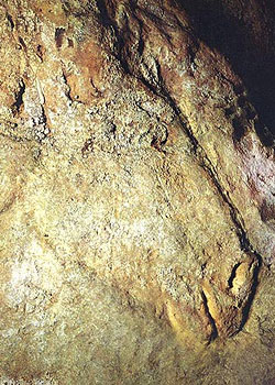 Cheval bas relief