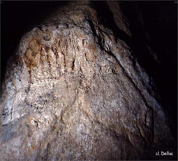 Cheval gravé - grotte de Commarque