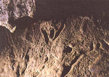 Vulves trac&eacute;es au doigt 