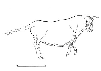 Boeuf grav&eacute; - Grotte de la marche 