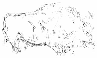Bison grav&eacute; dans la Galerie Breuil