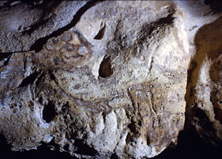 Cheval n&deg;4 