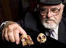 Aegyptopithecus : les deux sp&eacute;cimens avec Eylwin Simons