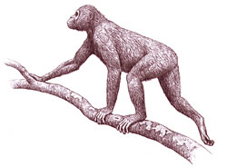 Forum image