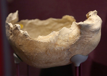 Crâne humain utilisé comme coupe - Grotte de Gough en Angleterre