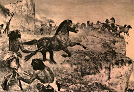 Les chevaux pr&eacute;cipit&eacute;s en bas de la falaise &agrave; Solutr&eacute; - Burian