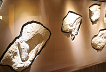 Cave Taillebourg, vue g&eacute;n&eacute;rale