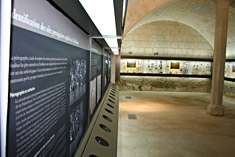 Salle de Pr&eacute;histoire