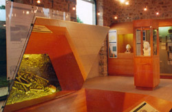 Salle exposition neandertal