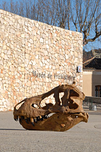 Entrée du Musée de Préhistoire des Gorges de Quinson - Crâne de Tyrex