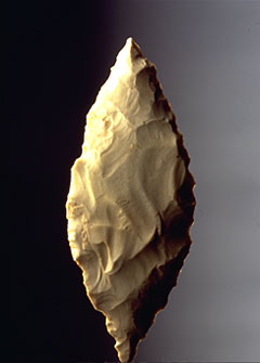 Feuille de Laurier - Mus&eacute;e de Solutr&eacute;