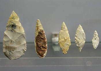 Feuilles de Laurier de Solutr&eacute;