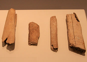 Os et bois de rennes incis&eacute;s