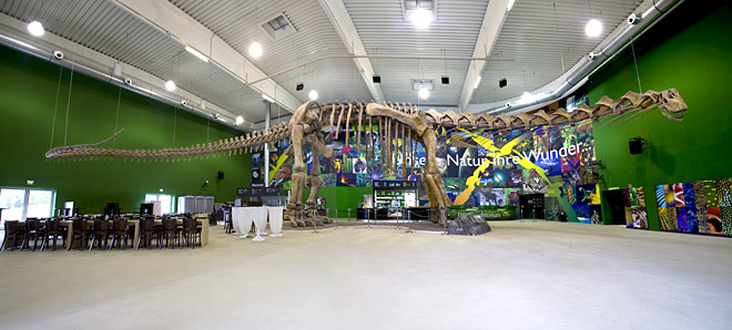 Argentinosaurus grandeur nature dans le hall du musée