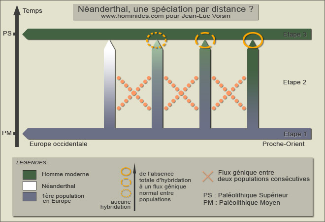 Spéciation par distance de Neandertal