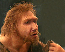 Representation de Neandertal par Elisabeth Daynes. Musée de Préhistoire des Eyzies