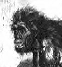 Neanderdal vu par Kupka selon les &eacute;tudes de Marcellin Boule