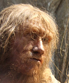 L'homme de Néandertal se soignait-il par les plantes ? lhomme-de-neandertal-se-soignait-il-par-les-plantes