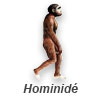 Premiers hominides