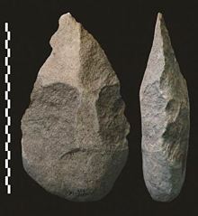 Outils de l'acheuléen datés de 1,8 millions d'années et attribués à Homo erectus