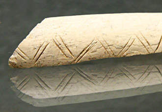 Matatarsien de cheval orn&eacute; de chevrons en zig-zag