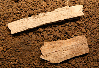 Lames d'ivoire de mammouth trouv&eacute;es &agrave; Pair-non-Pair