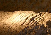 Pataud - gravure serpentins