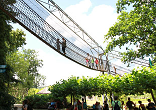 Un pont de singe suspendu au dessus des visiteurs du Zoo de Planckendael
