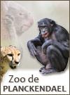 Zoo de Planckendael