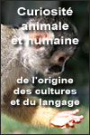 Curiosité animale et humaine : de l'origine des cultures et du langage