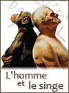 Hommes et singes : ressemblances et differences
