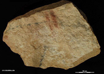 Peintures sur bloc effondr&eacute; de l'abri Castanet