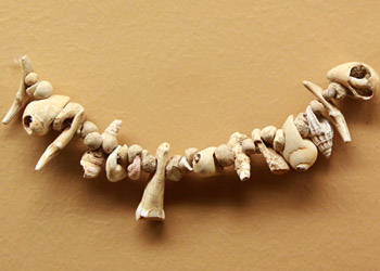 Collier de coquillage retrouv&eacute; &agrave; l'abri Castanet