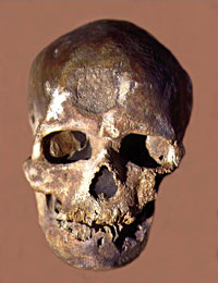 Cr&acirc;ne de Cro-Magnon Face