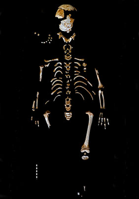 squelette-enfant-el-sidron