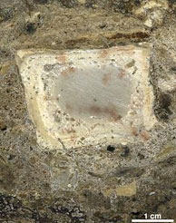 Un foyer de - 300 000 ans en Israël