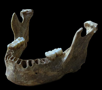 Après la rencontre il y a 60 000 ans, Sapiens et Néandertal se sont à nouveau "rencontrés" 