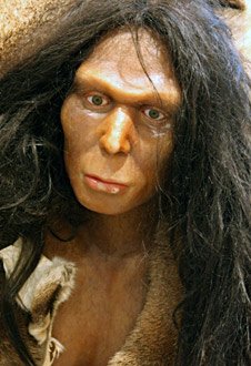 Reconstitution du visage d'Homo erectus
