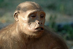 Touma&iuml;